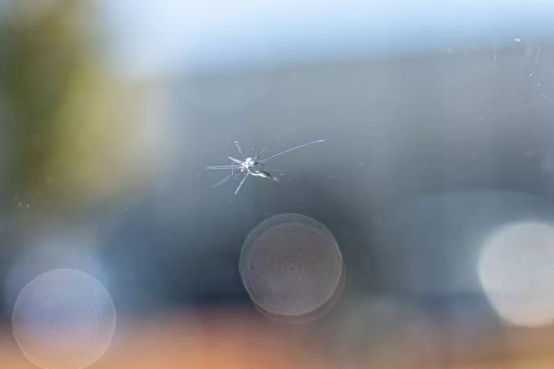 Windshield Repair